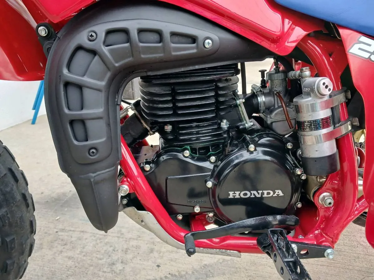 1983 honda 250r trike - Image 4