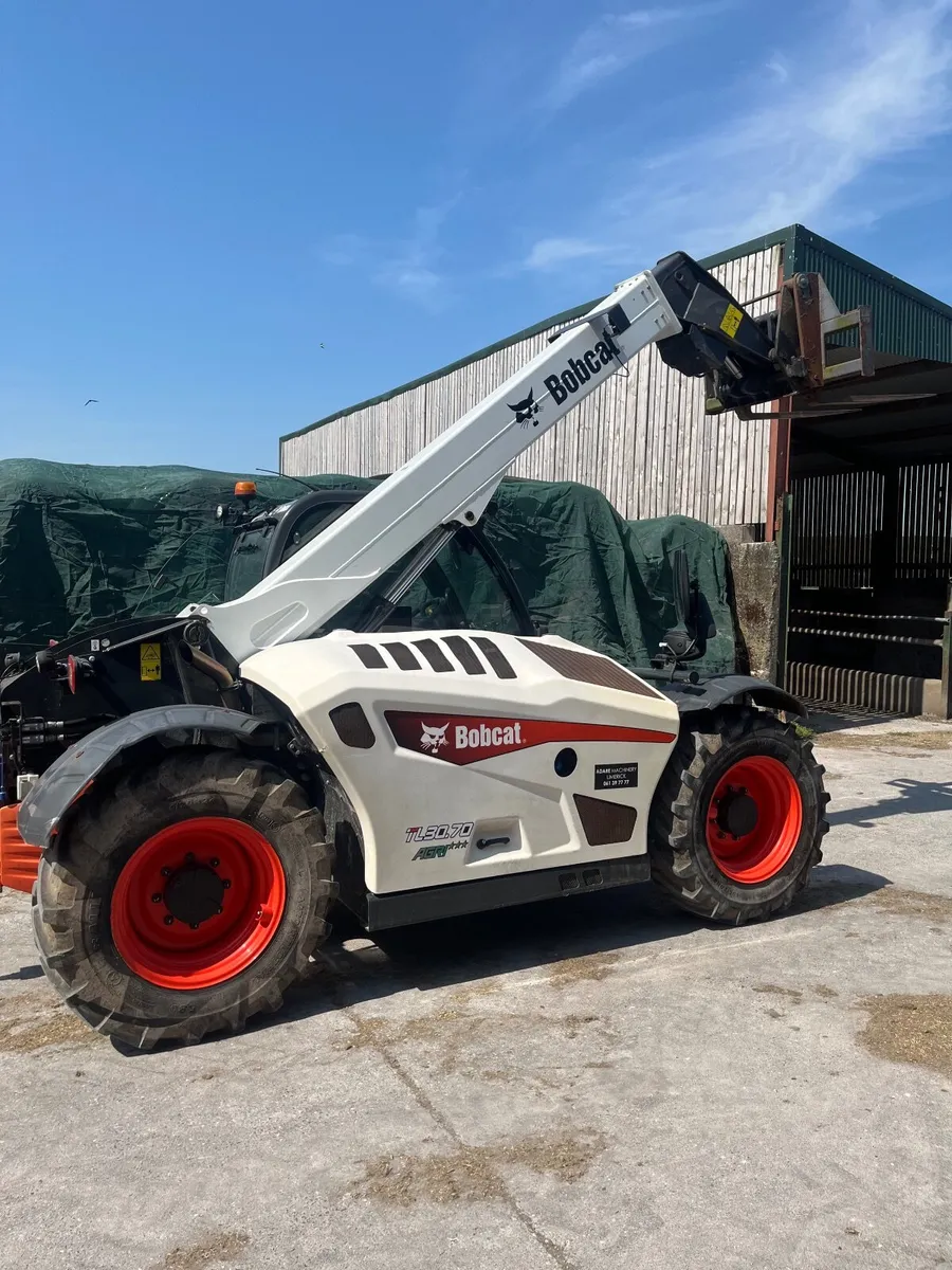 Telehandler - Image 2