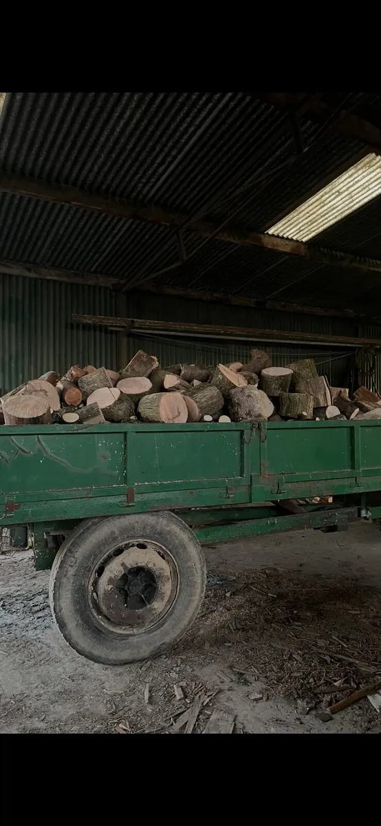 Tipping trailer - Image 1