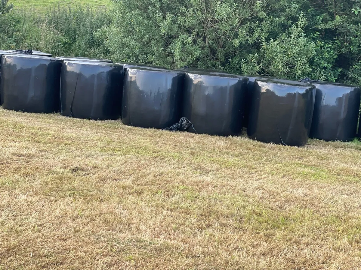 Haylage - Image 1