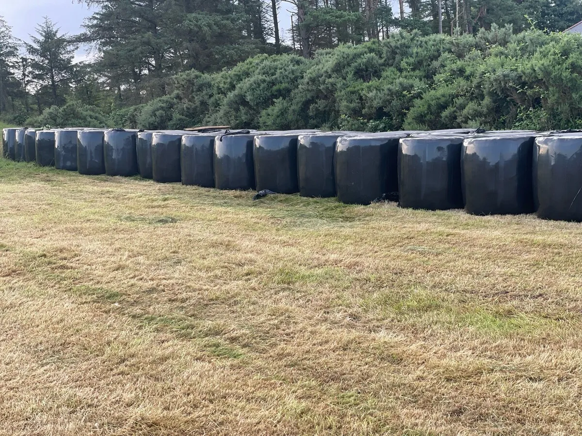 Haylage - Image 2