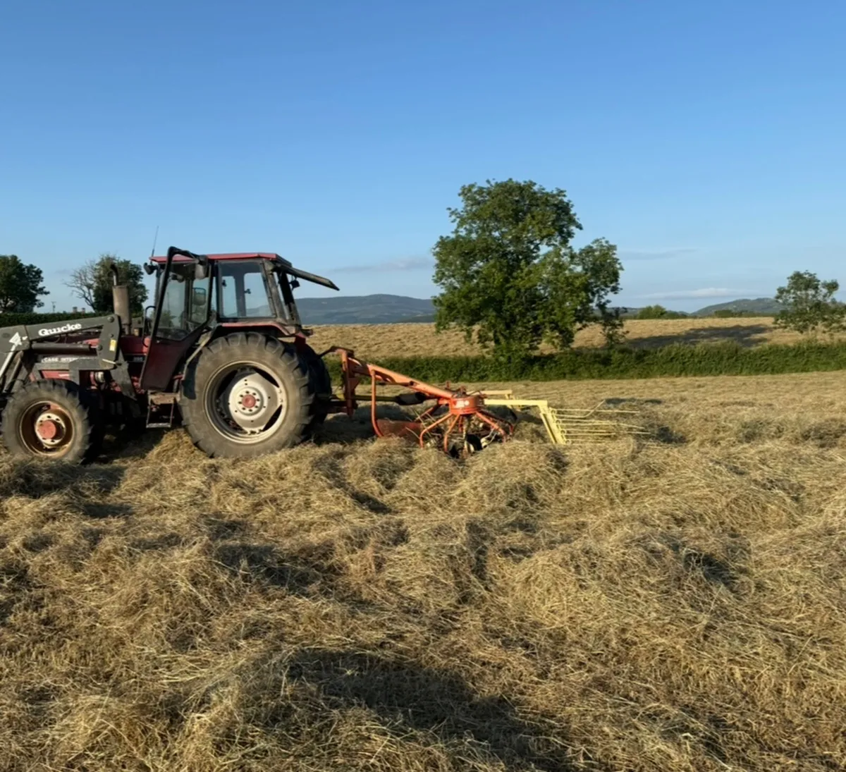 Hay and Haylage for sale No Fertiliser - Image 3