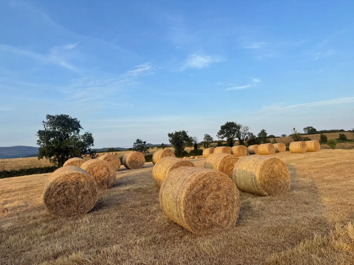Hay and Haylage for sale No Fertiliser - Image 1