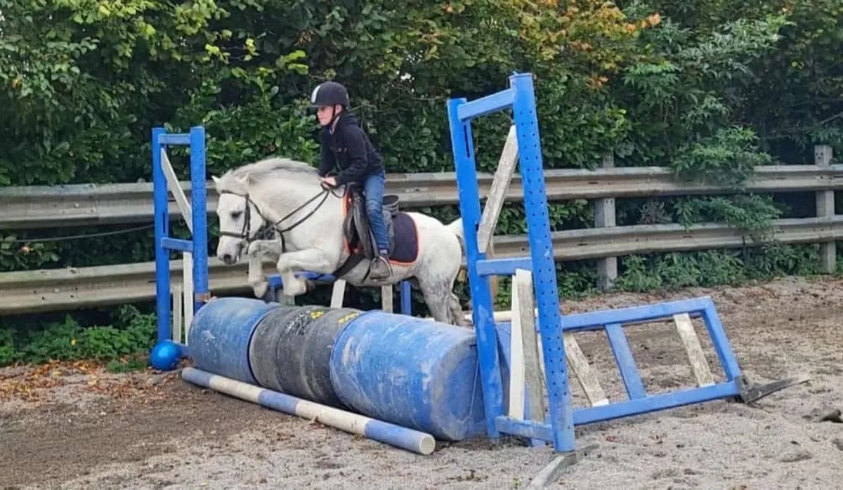 Pony - Image 1