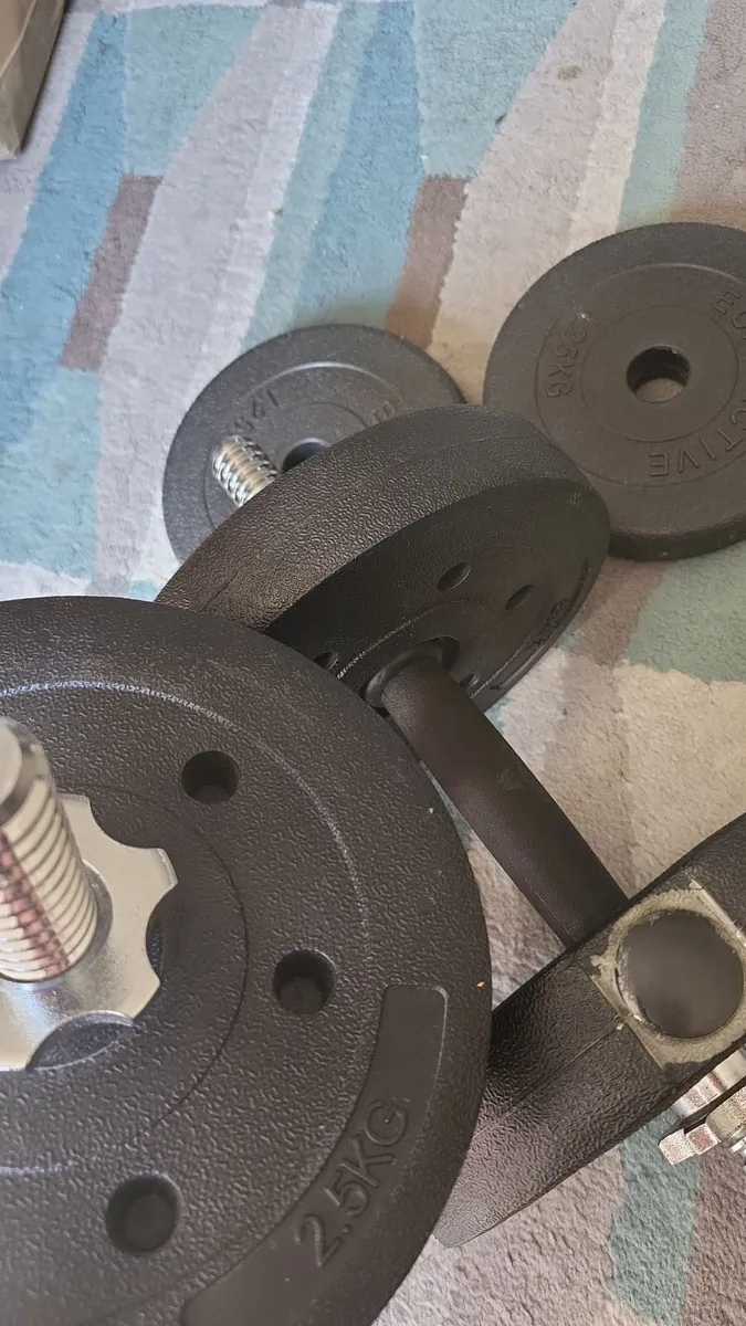Weights - Image 1