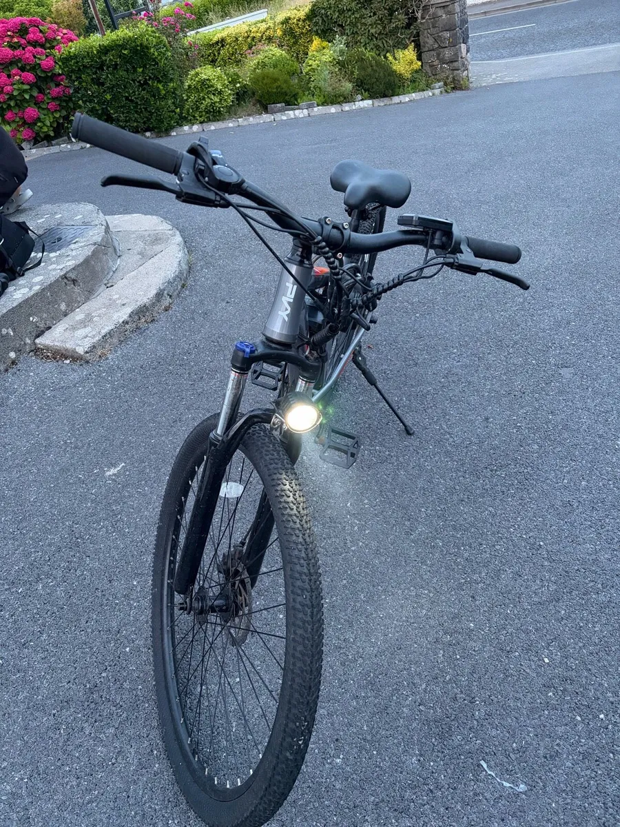 Electric bike - Image 1