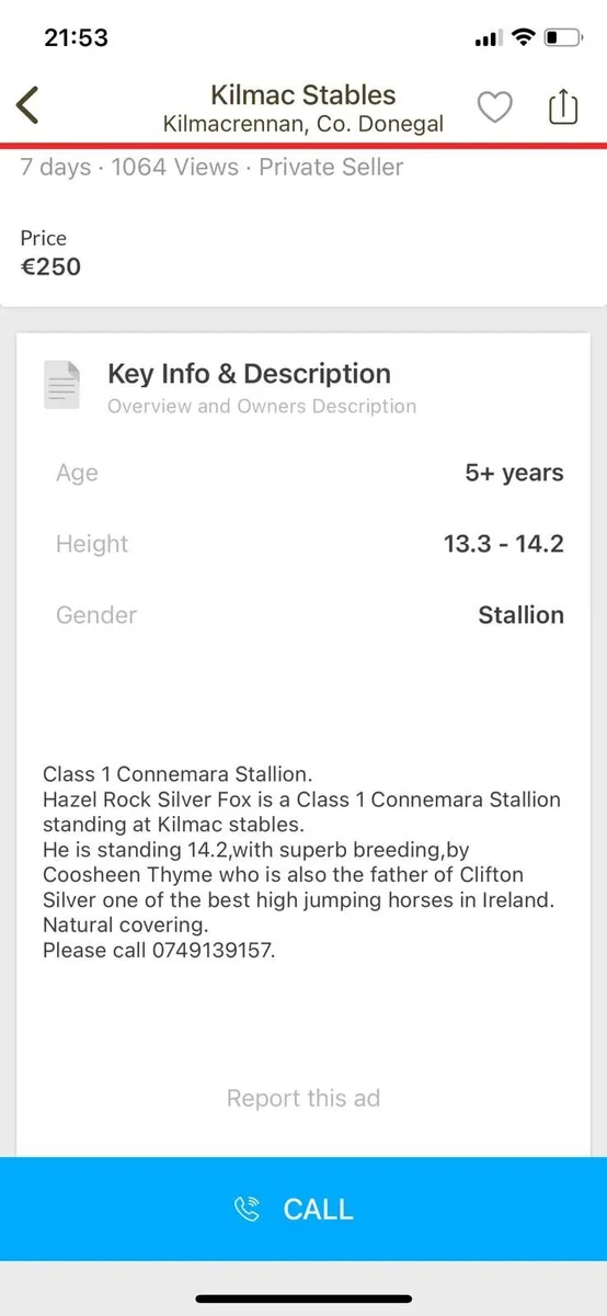 Horse - Image 4