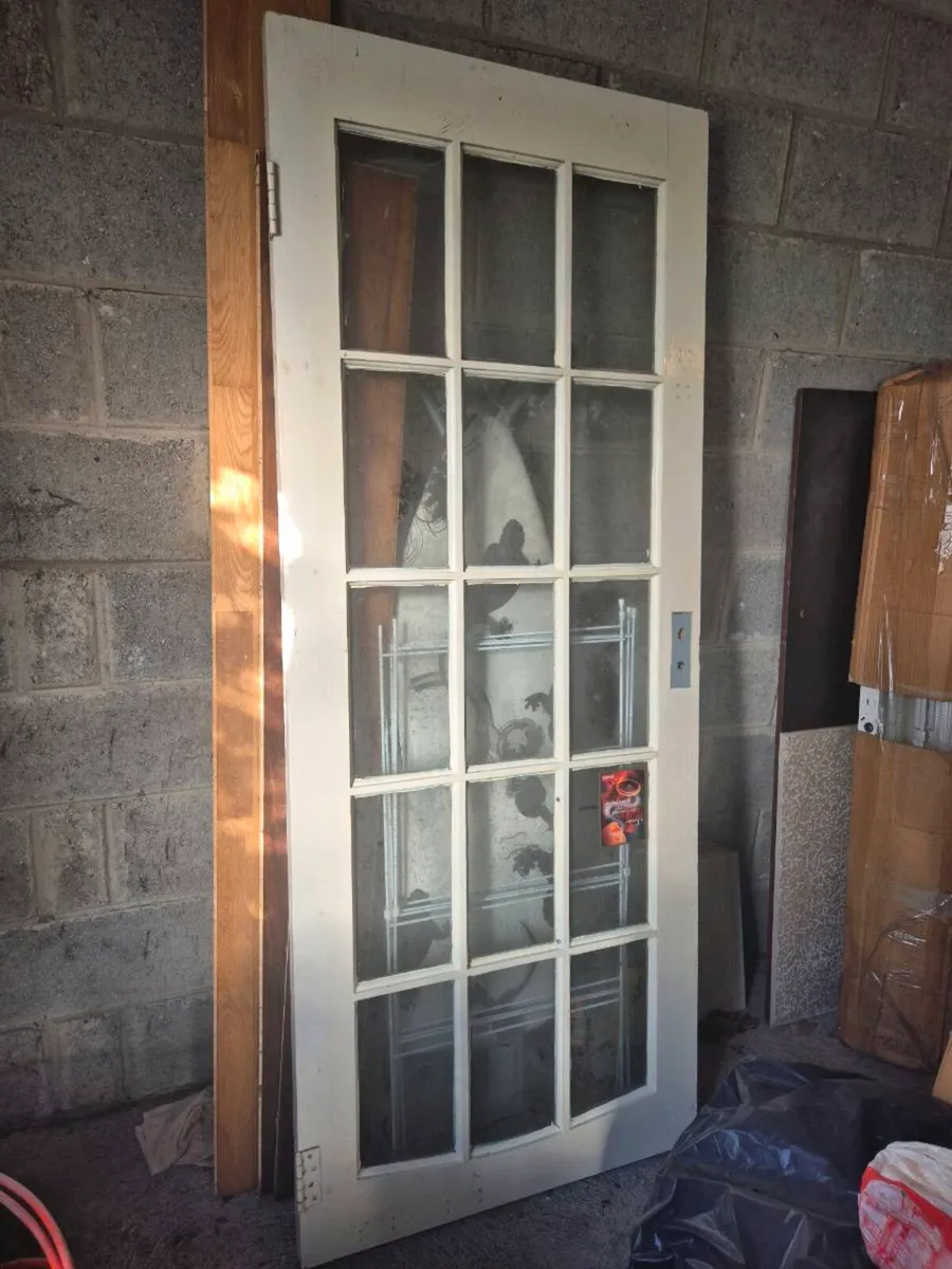 Glazed 15 Light Panel Door - Image 1