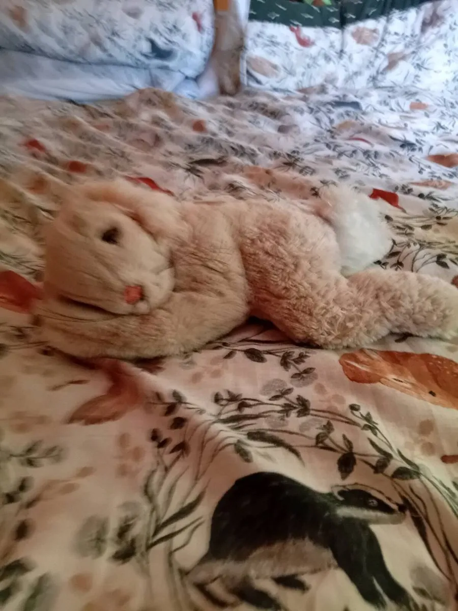 Steiff animal bundle - Image 4