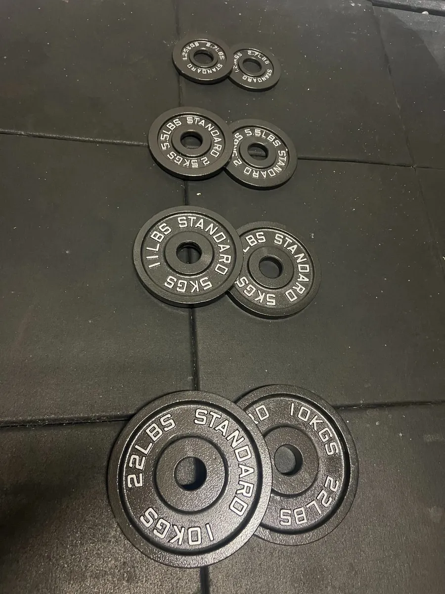 Rogue Olympic Plates - Image 1