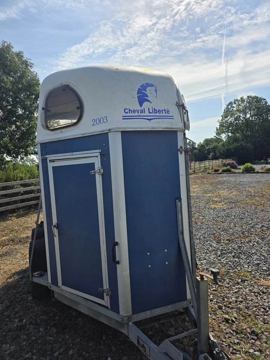 Cheval Liberte Double Horsebox - Image 4