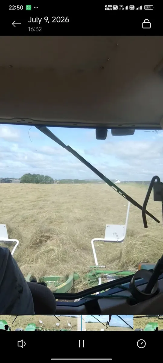 Hay - Image 3