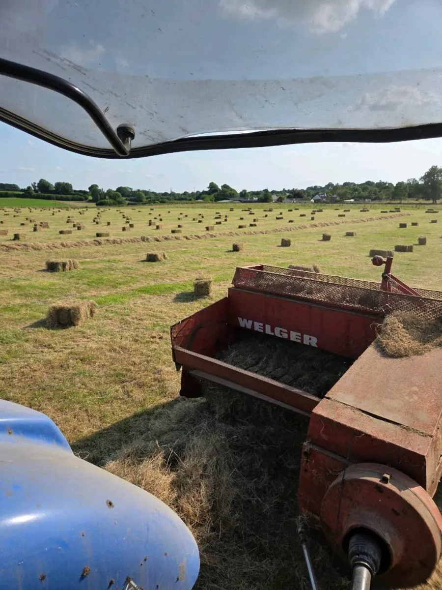 Square bales of hay - Image 1