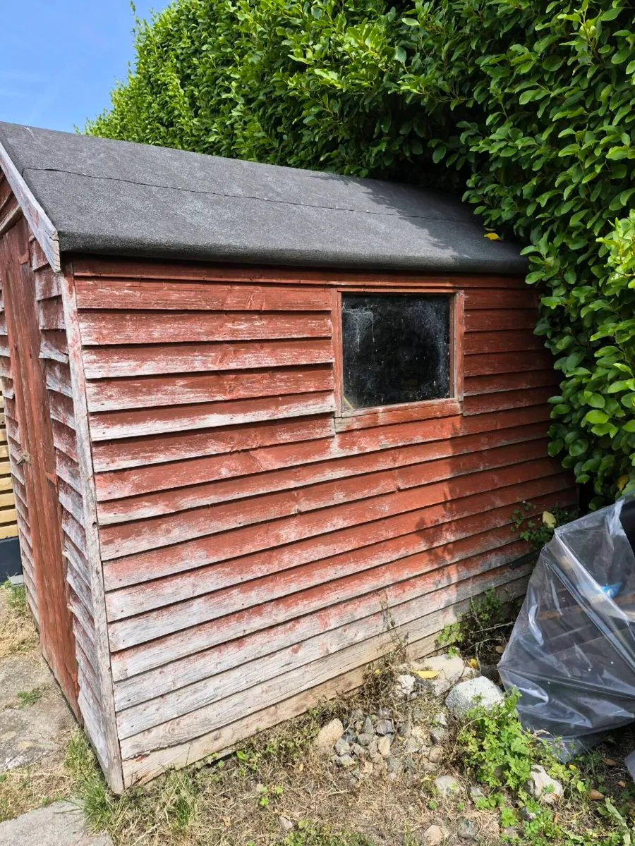 Garden Shed Free to take away - Image 2