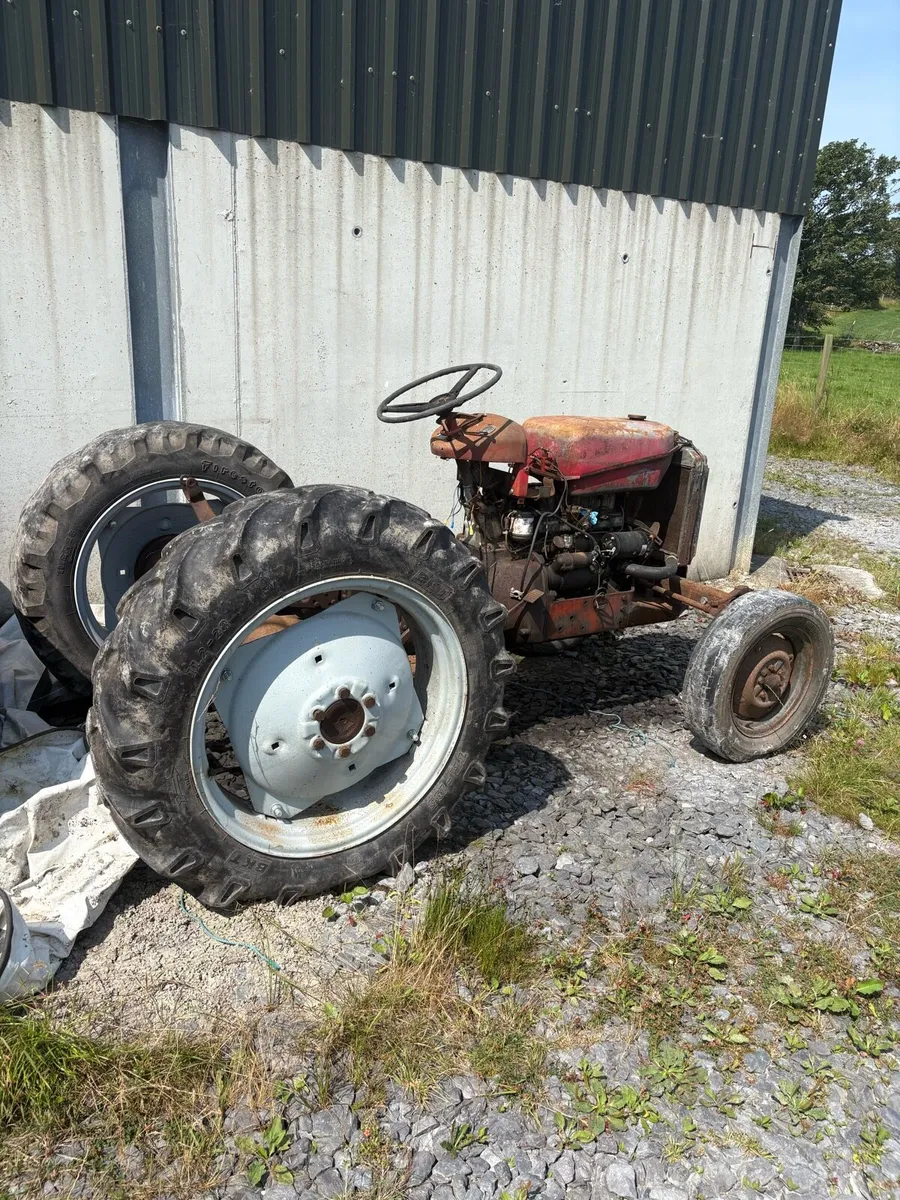 Massey Ferguson 25 - Image 1