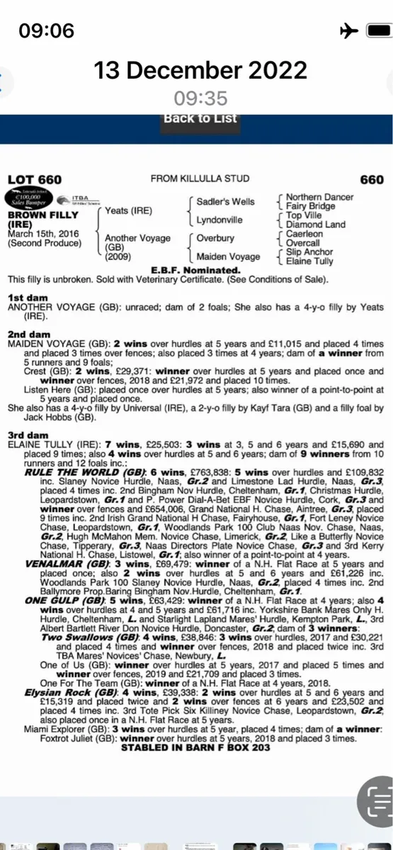 Broodmare - Image 1