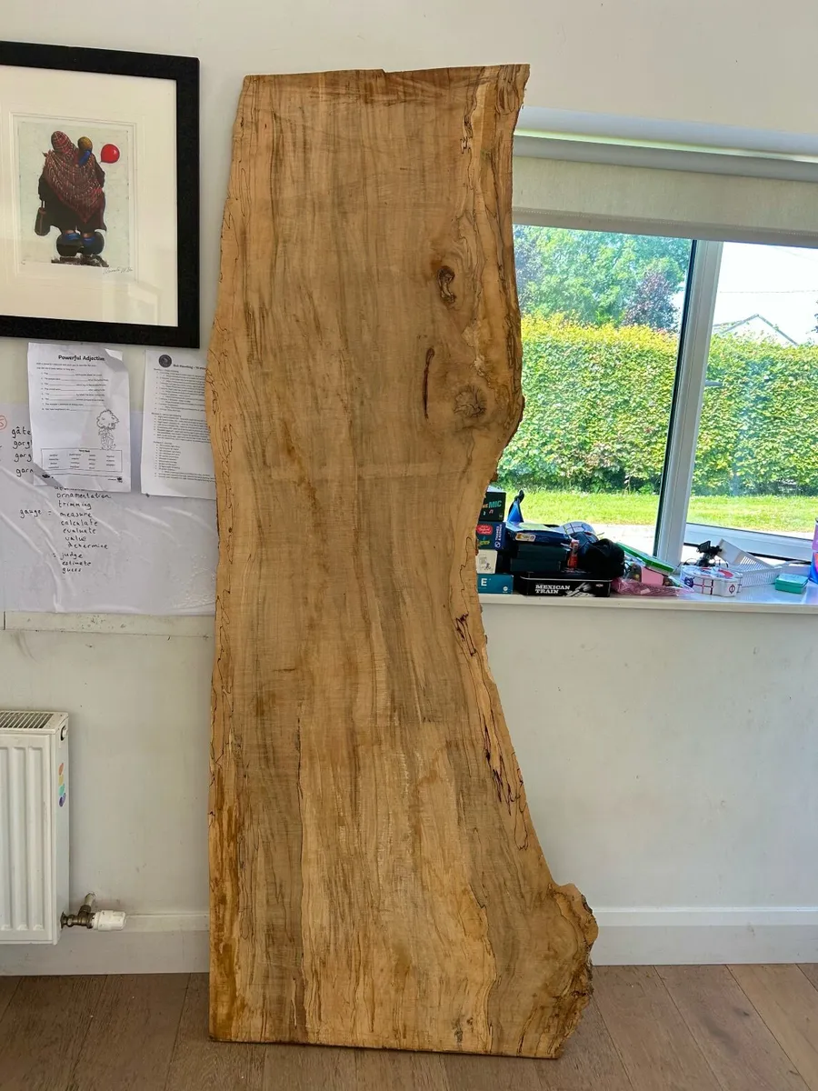 spalted beech slab - Image 2