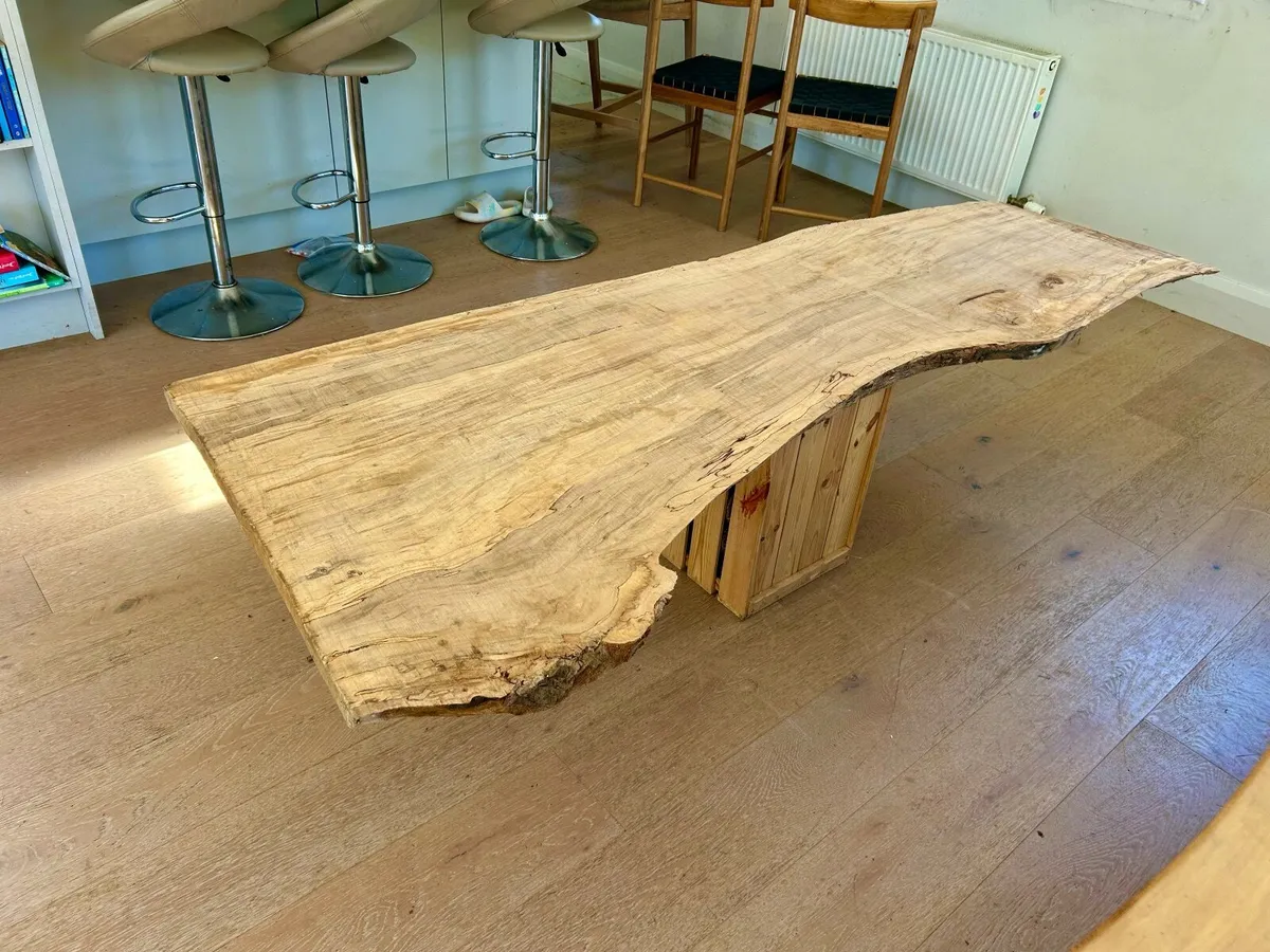 spalted beech slab - Image 3