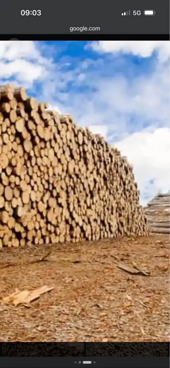 All grades of timber required - Image 2