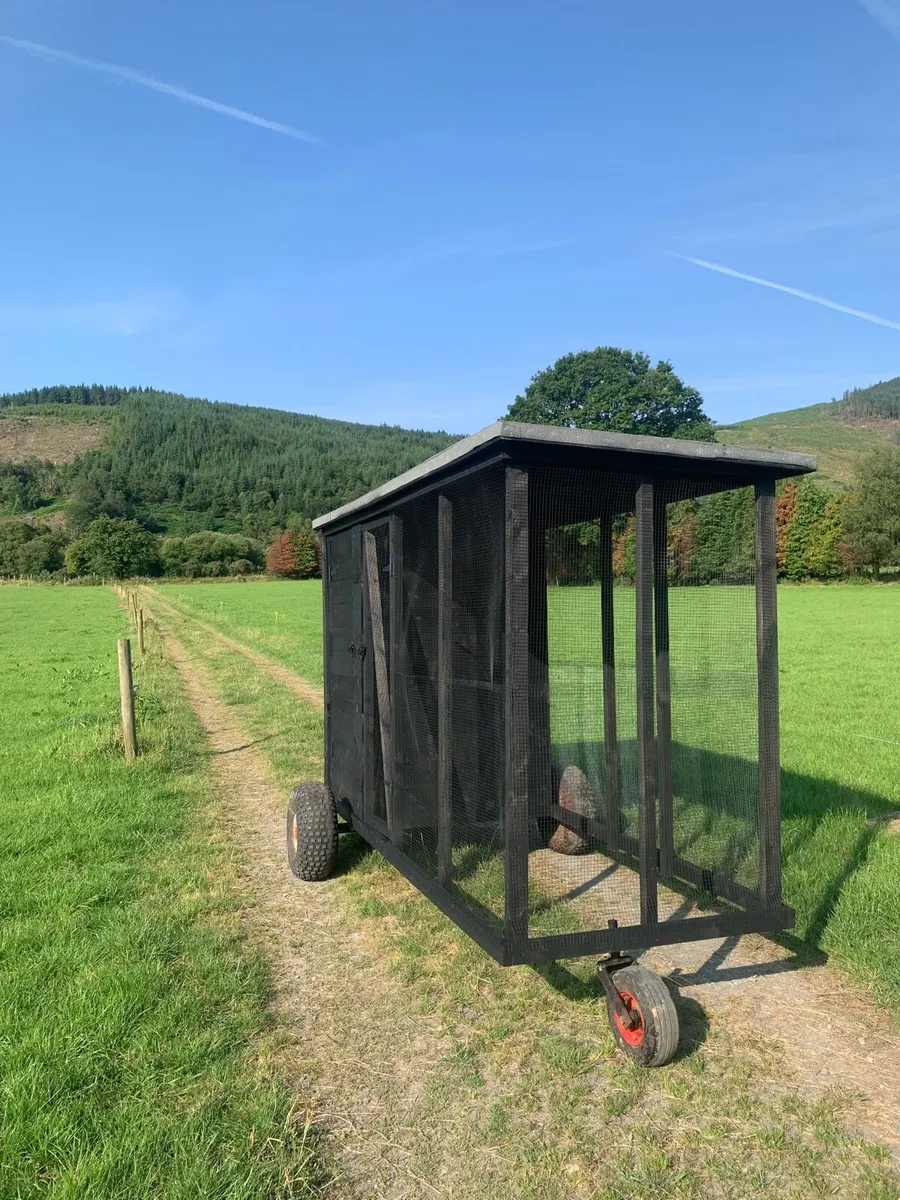 Handmade wooden dog/hen run - Image 1