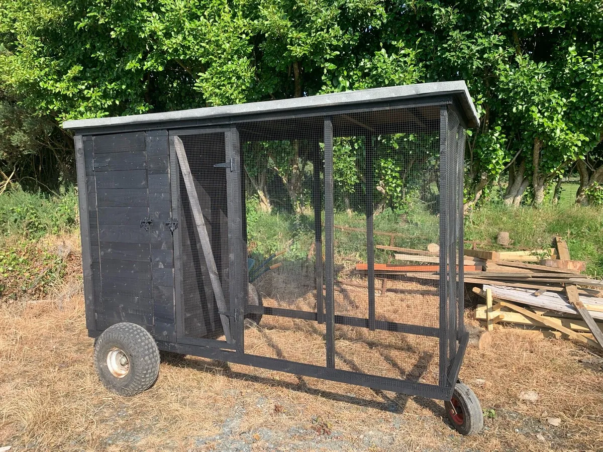 Handmade wooden dog/hen run - Image 2
