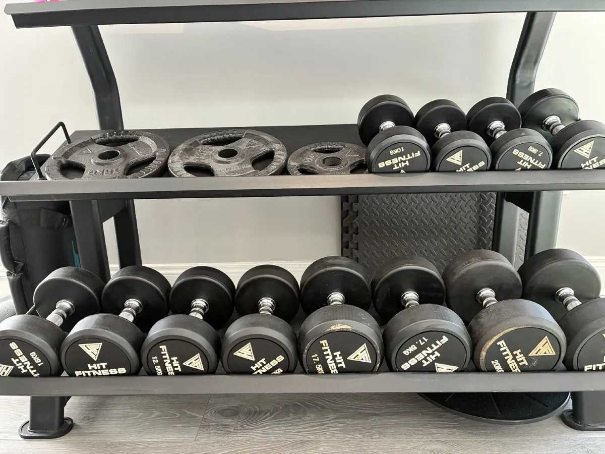 Complete Home Gym Package - Image 2