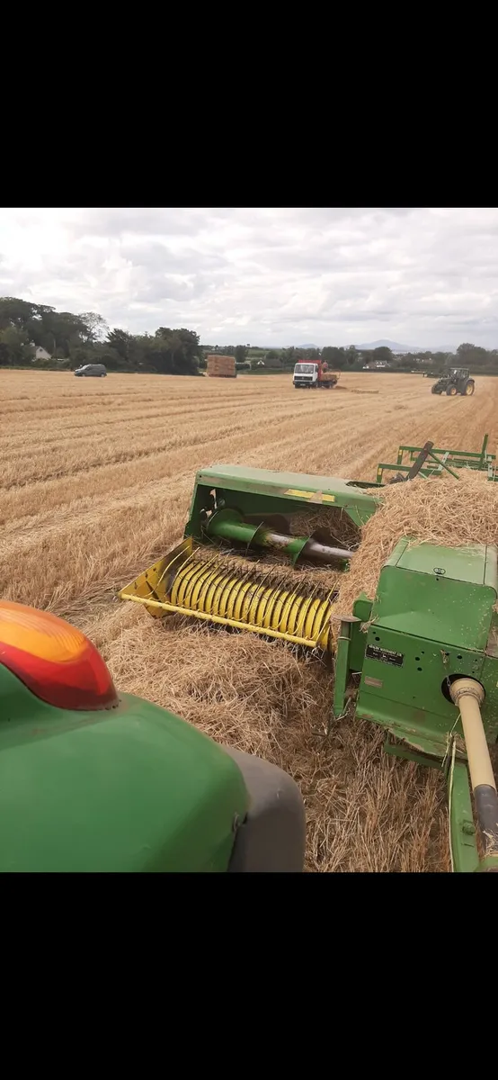 Small Square Bales Barley Straw - Image 2