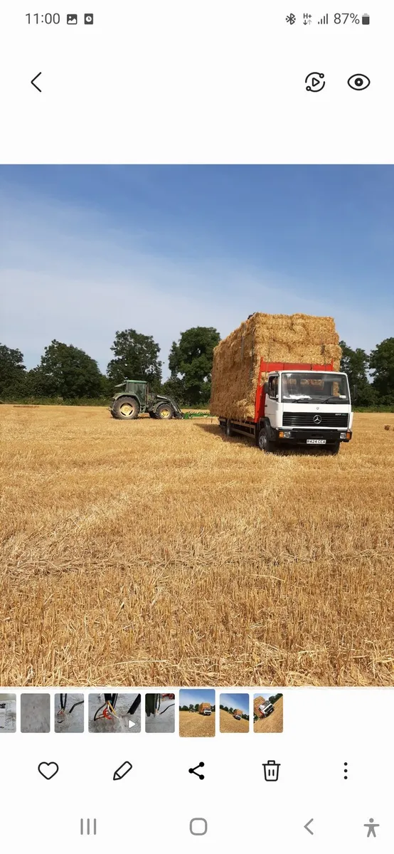 Small Square Bales Barley Straw - Image 1