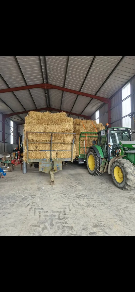 Small Square Bales Barley Straw - Image 3