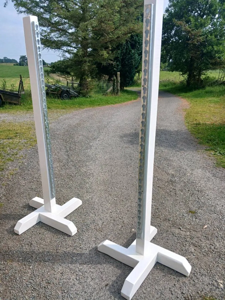 Horse jumps - Image 2