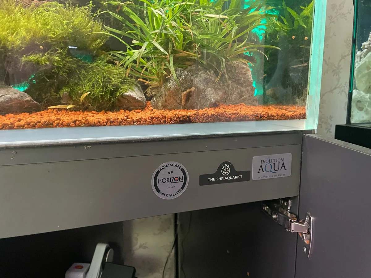 500 opti white aquascape - Image 3