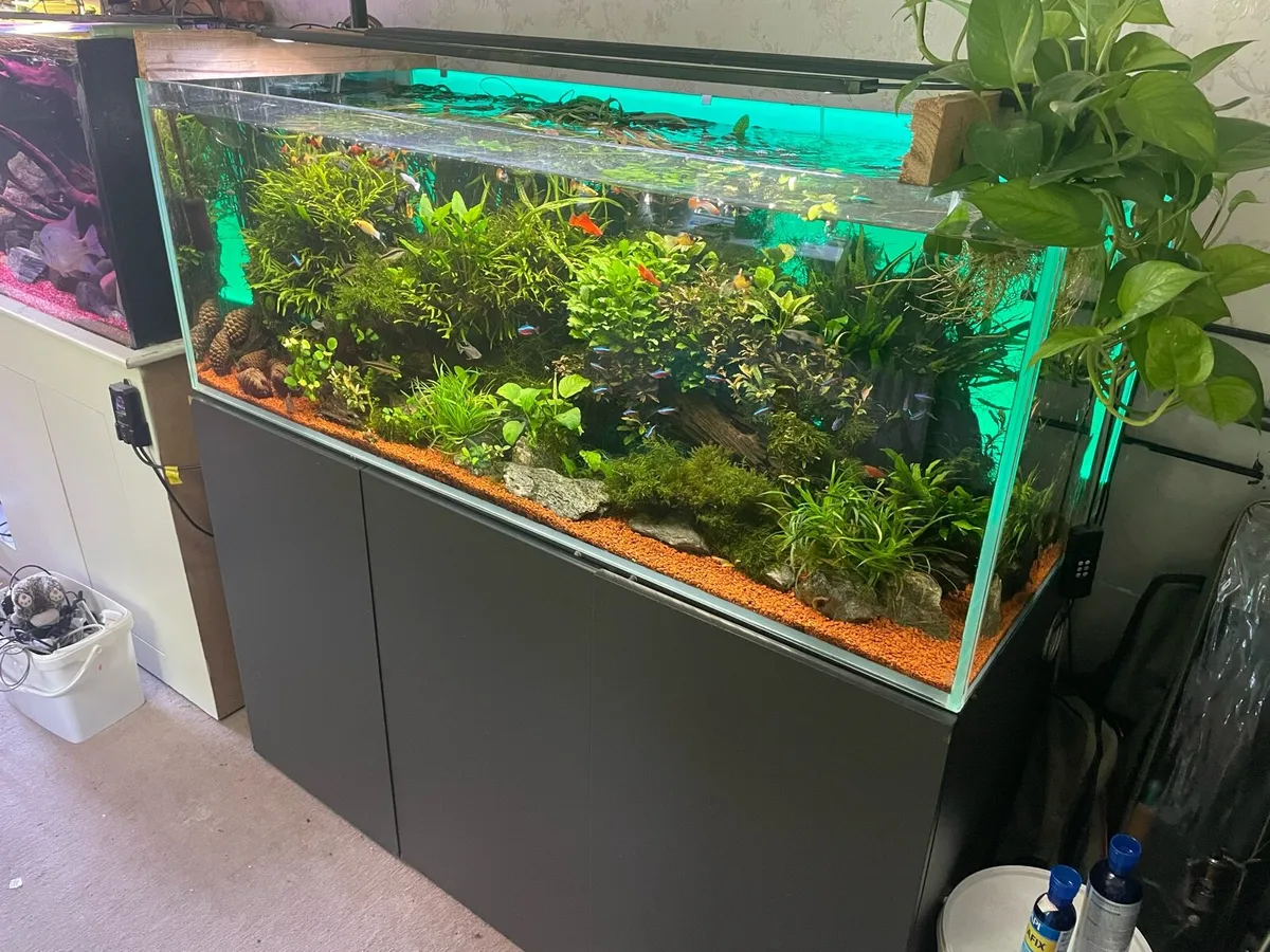 500 opti white aquascape - Image 1