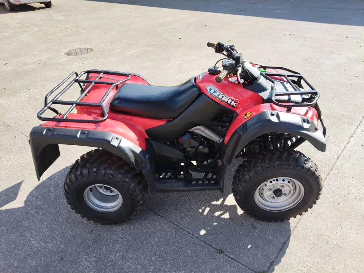Suzuki Ozark 250 - Image 2