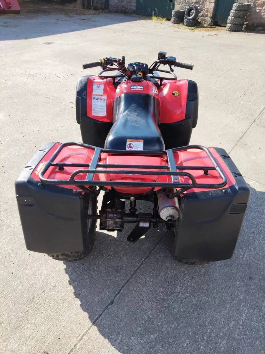 Suzuki Ozark 250 - Image 3