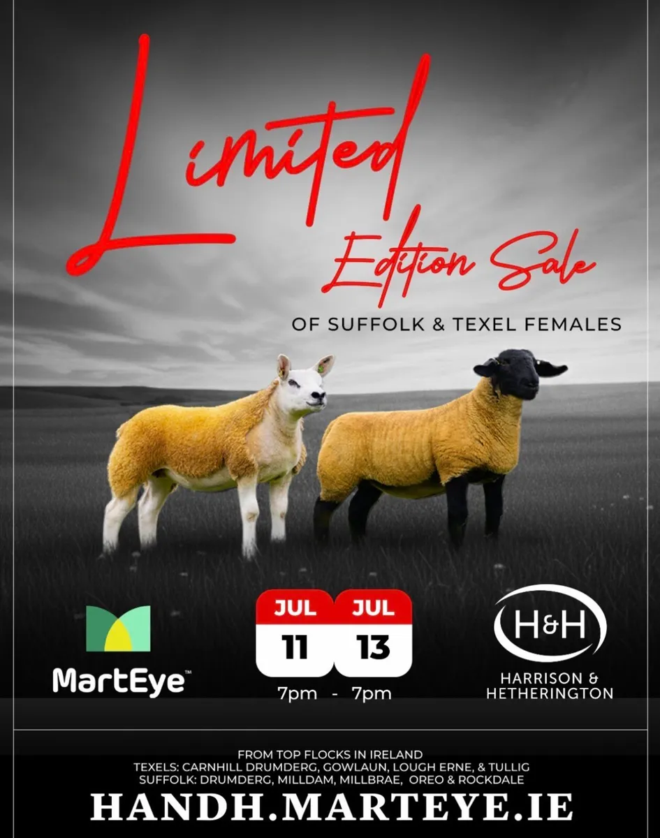 Limited Edition Female Sale - Image 1