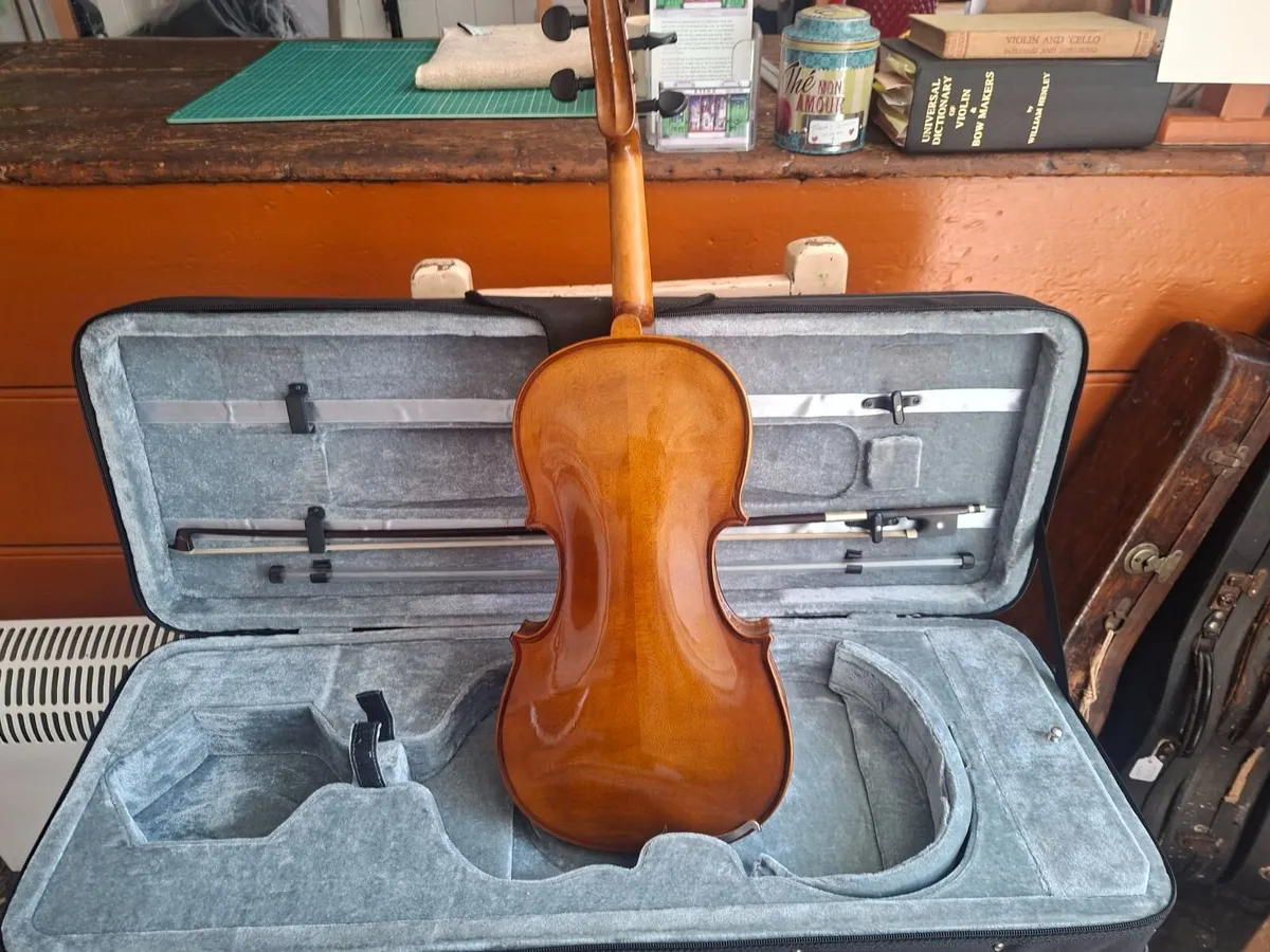Viola - Image 1