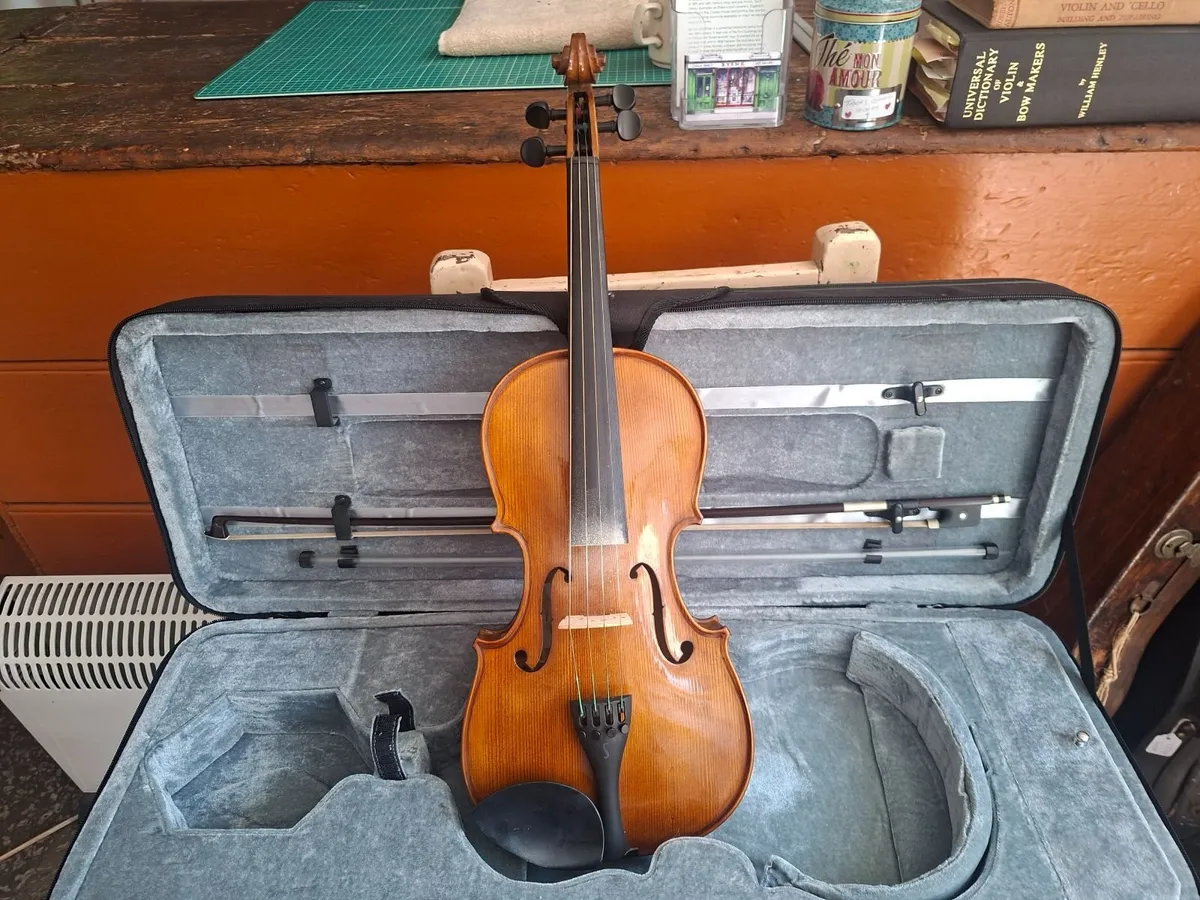 Viola - Image 2