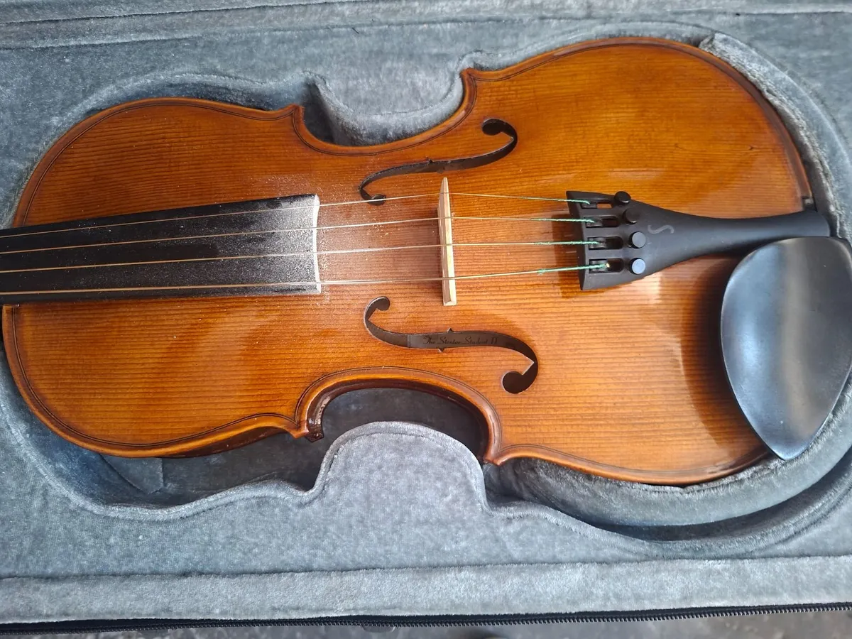 Viola - Image 3