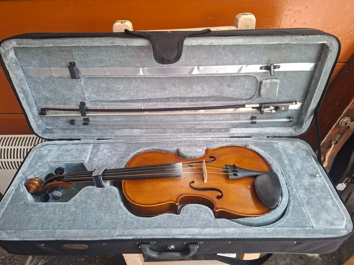 Viola - Image 4