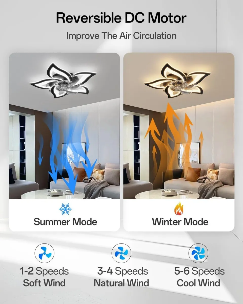 Ceiling Fans with Lights - Image 4