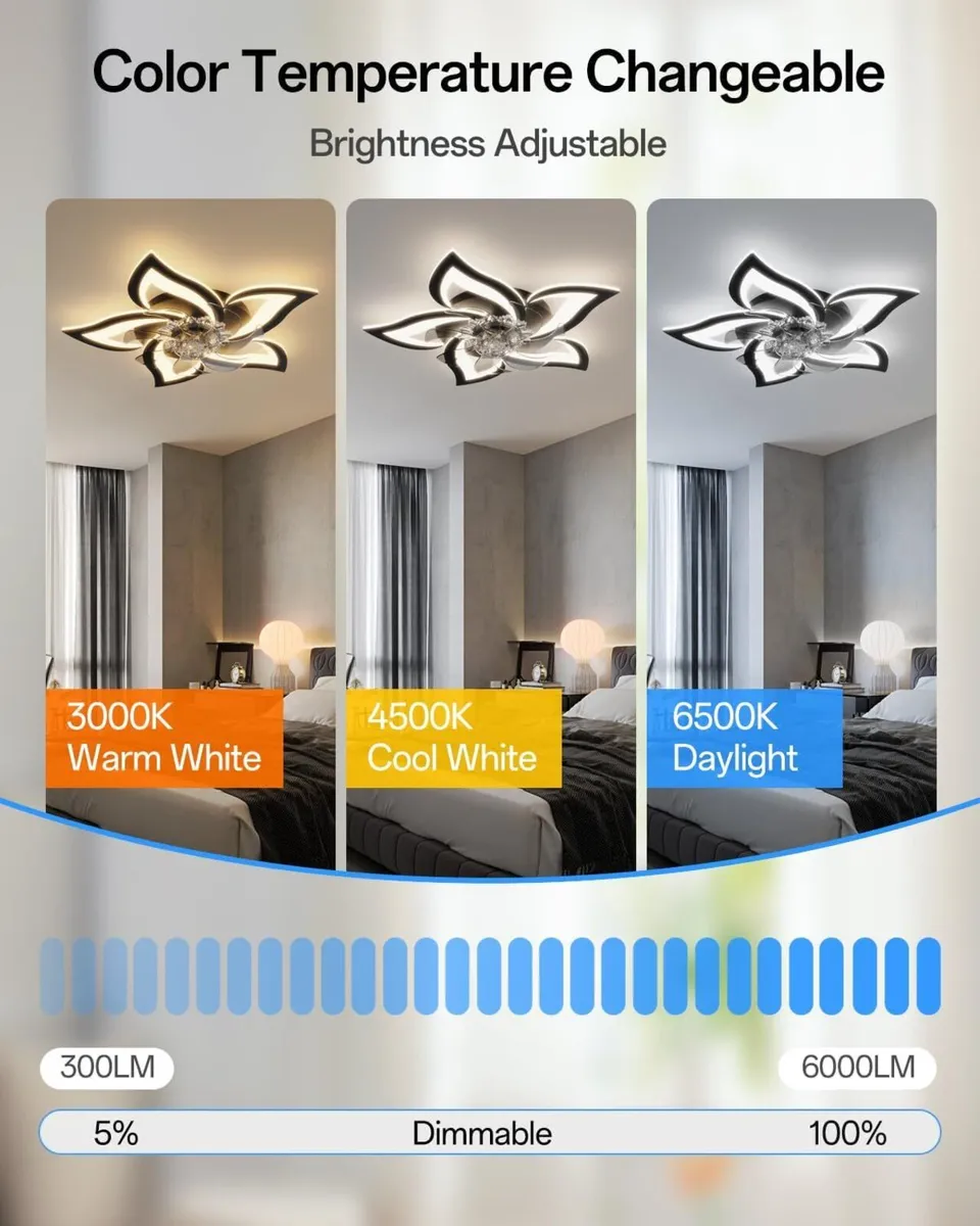 Ceiling Fans with Lights - Image 3