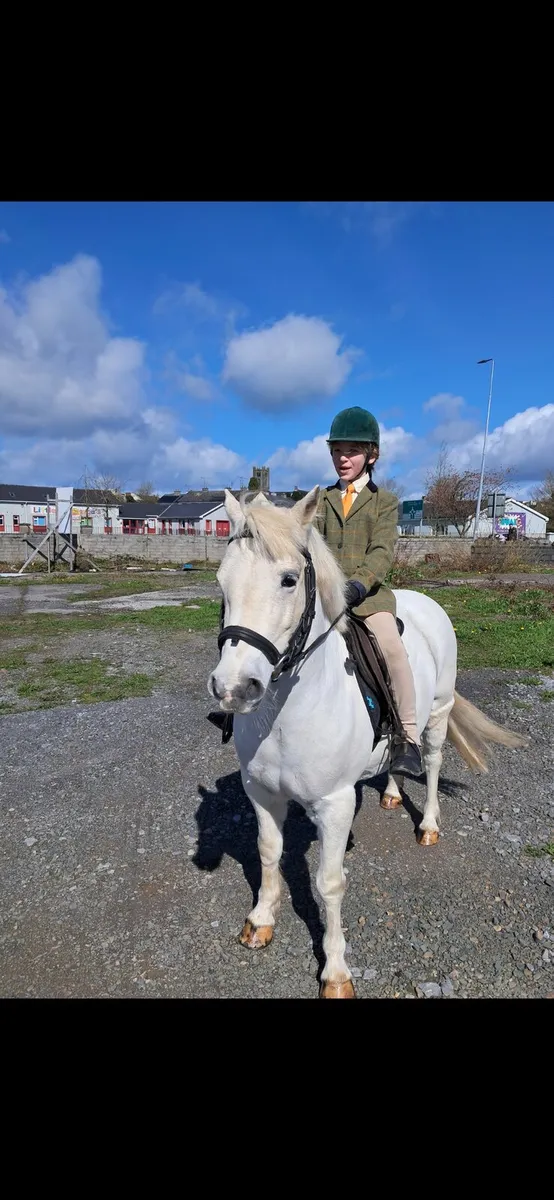Bombproof Pony - Image 1