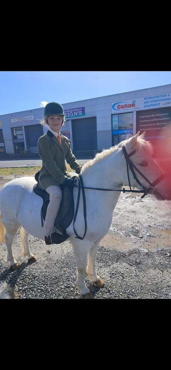 Bombproof Pony - Image 2