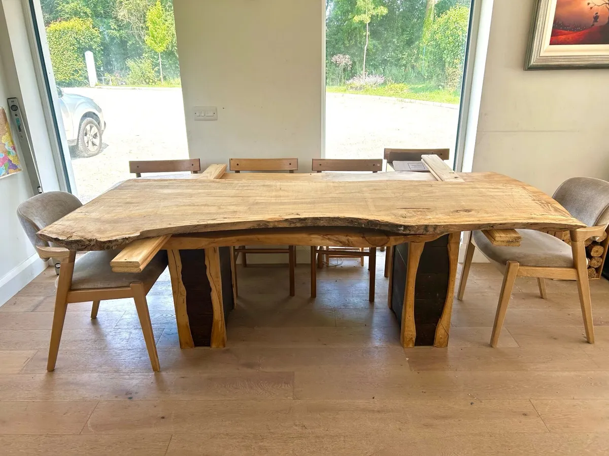 spalted beech slab - Image 4