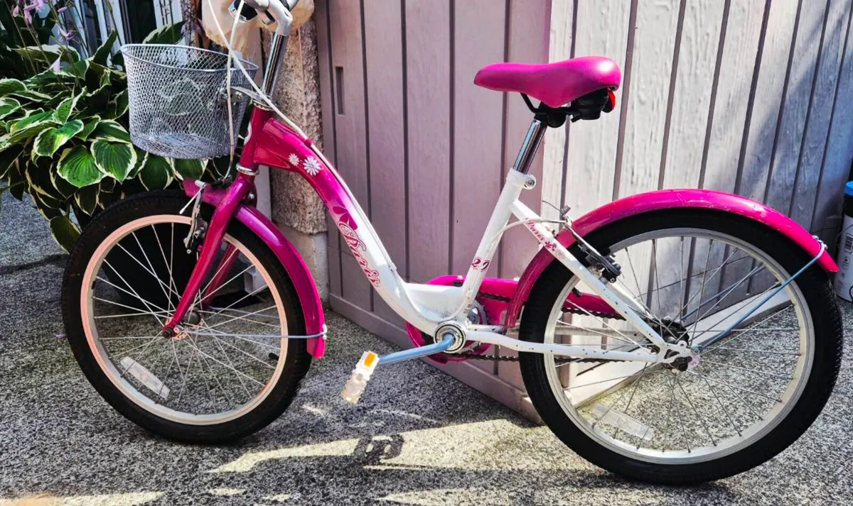 Girls 20inch Bike