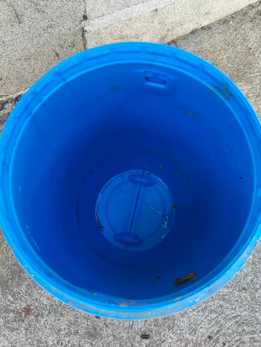 Blue drum - Image 2