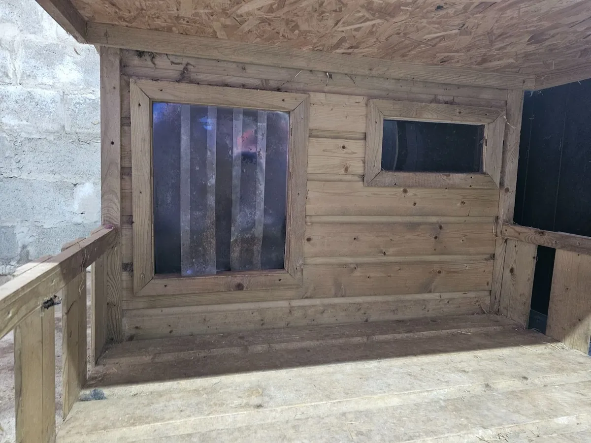 Dog kennel - Image 3