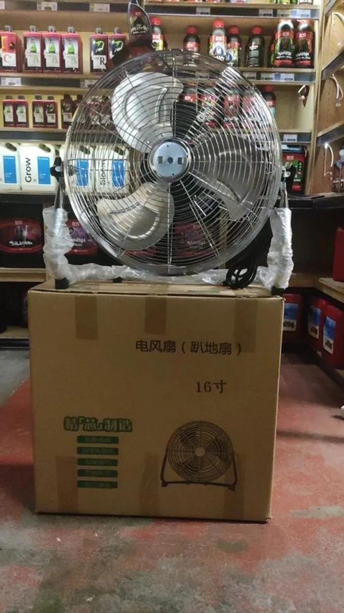 Fan - Image 1