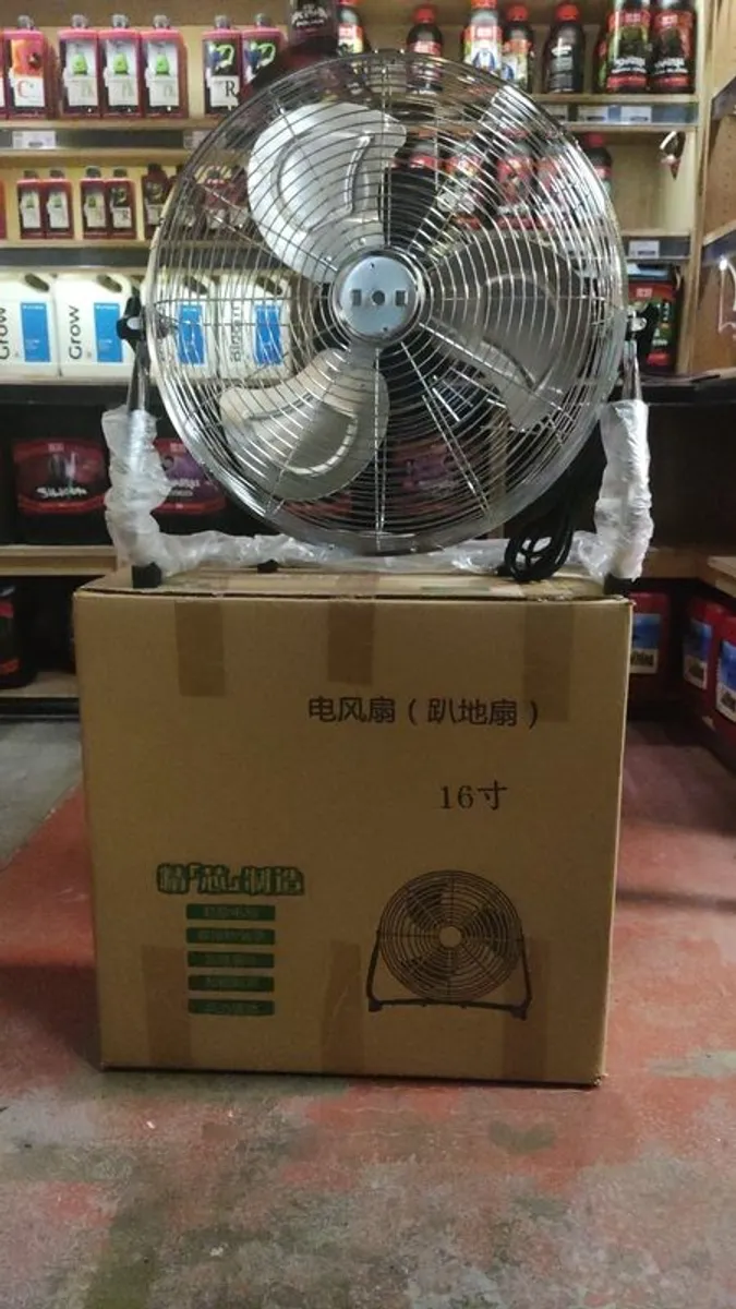 Fan - Image 3