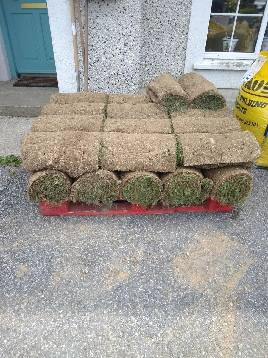 Top quality lawn turf